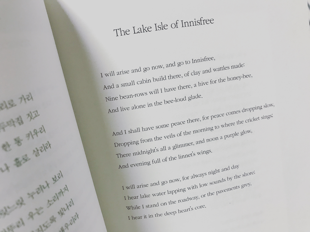 Image result for innisfree  for always night and day